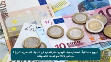 اليورو مستقراً.. أسعار صرف اليورو أمام الجنيه في البنوك المصرية بتاريخ 3 سبتمبر 2025 مع أحدث التحديثات